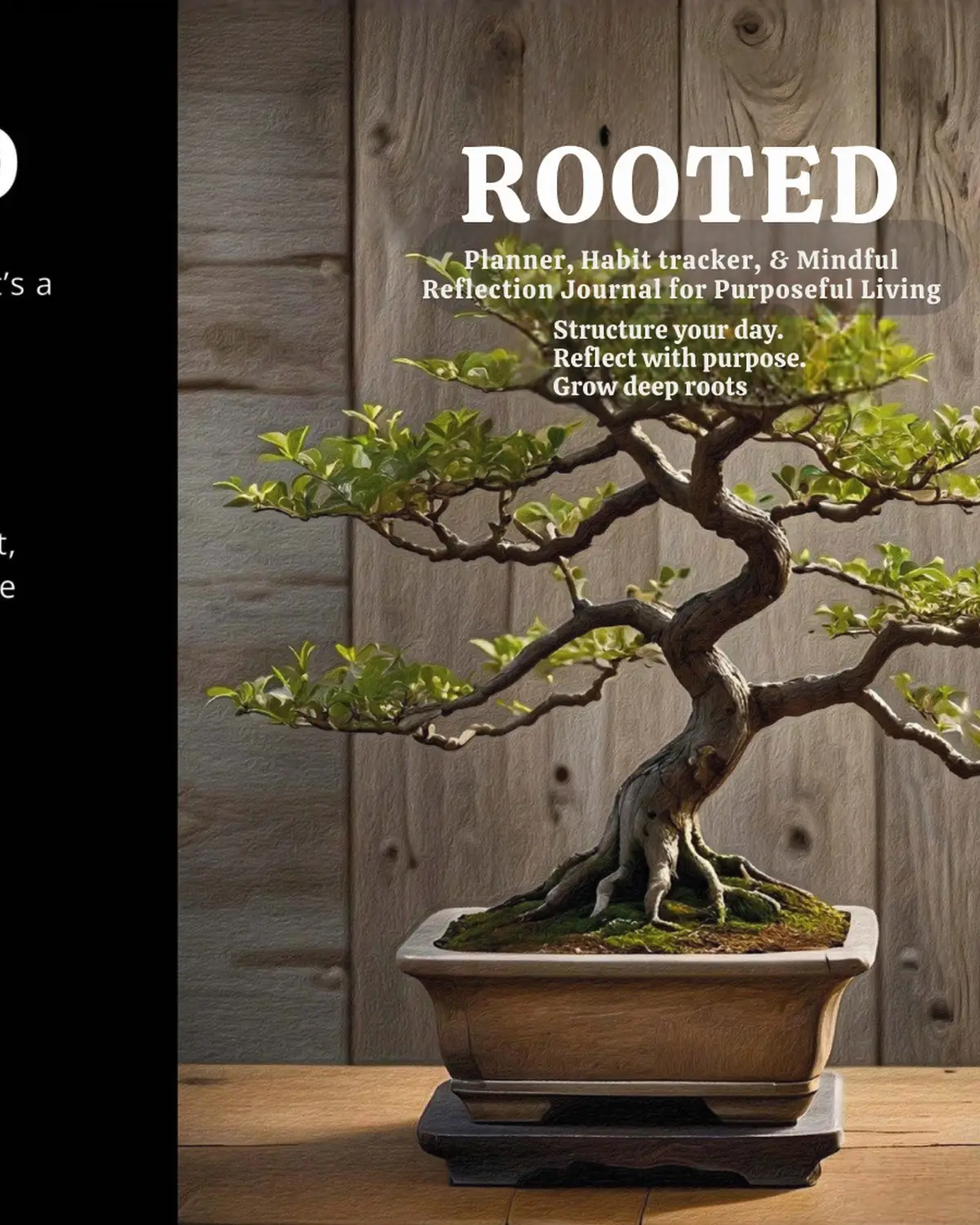 ROOTED cover